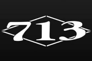 713 Motors